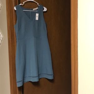 NWT Loft Dress